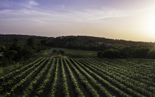 Carter Creek Winery Image