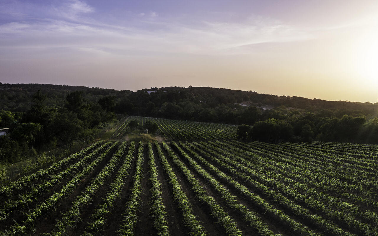 Carter Creek Winery Cover Image