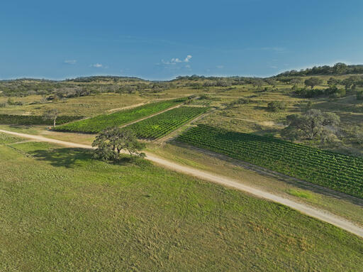 Turtle Creek Vineyard Image