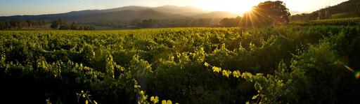 Oregon Wine LAB and William Rose Wines Image