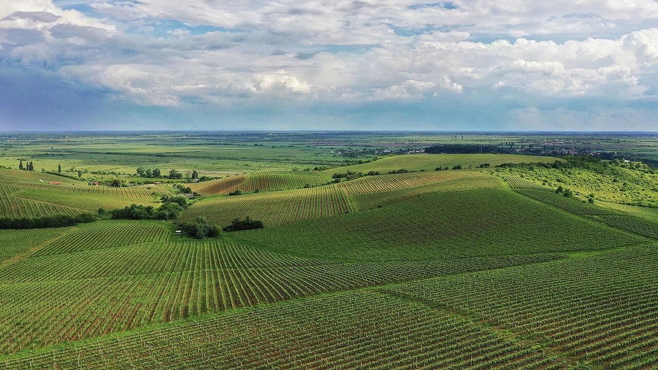 Chateau Chizay Cover Image