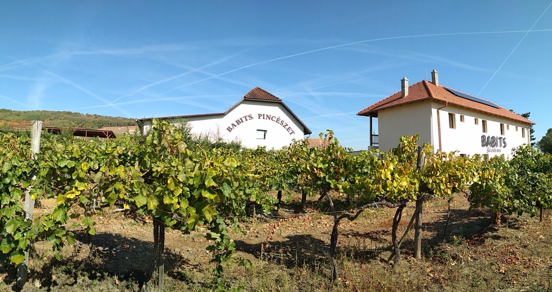 Babits Pincészet Cover Image