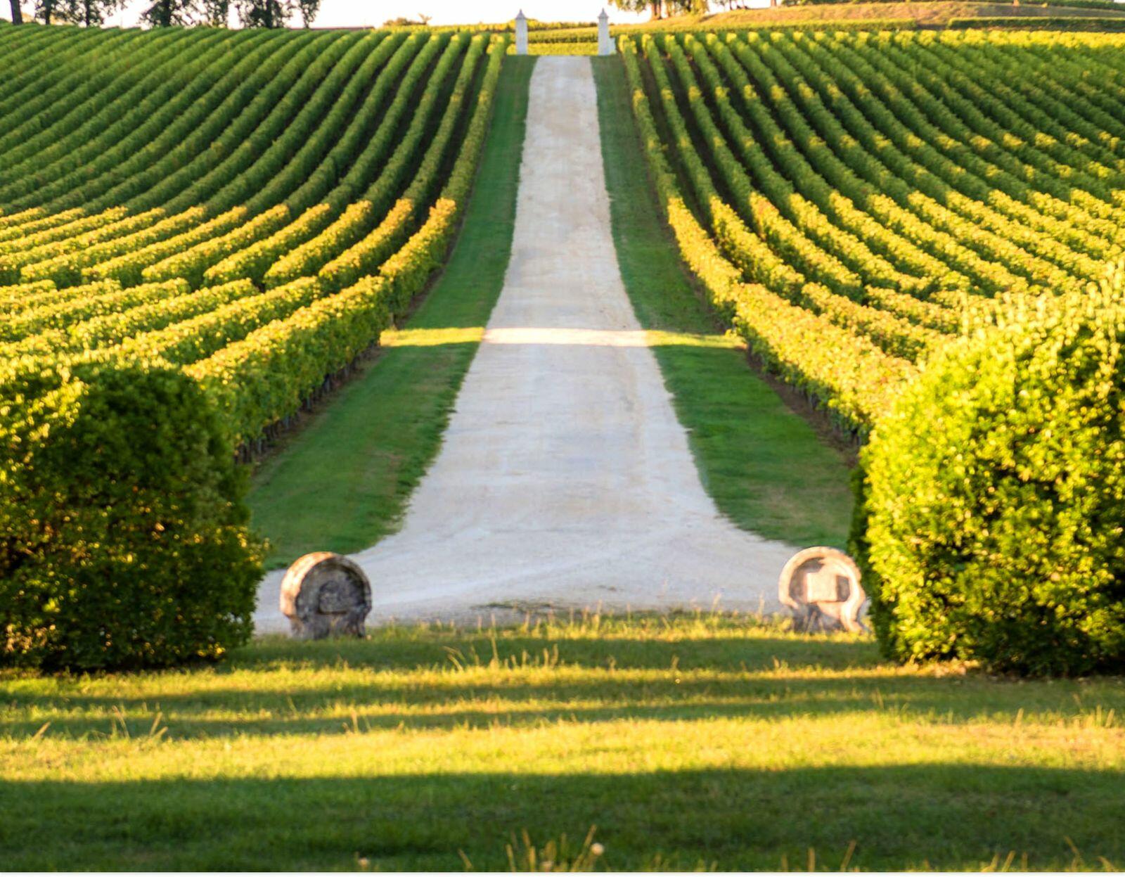 Clos Albertus Cover Image