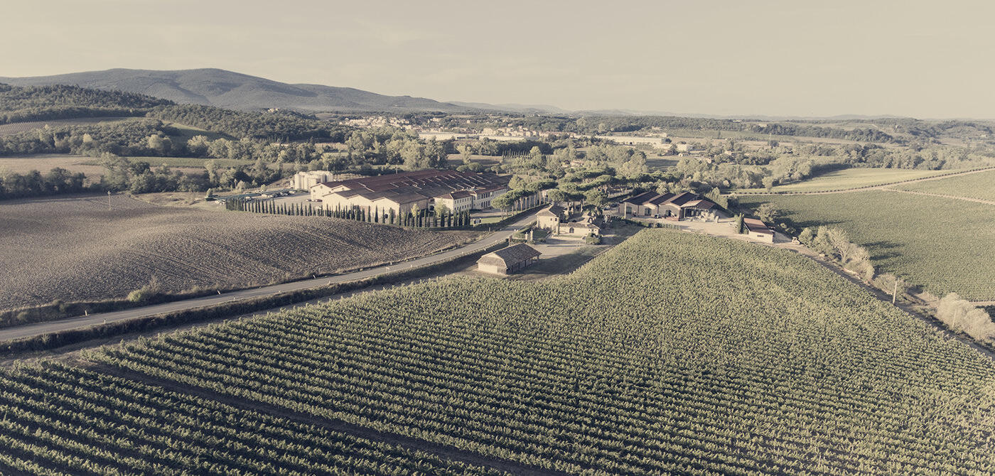 Cecchi Cover Image