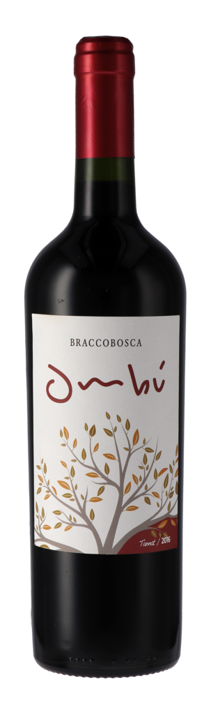 Tannat Clásico Bottle