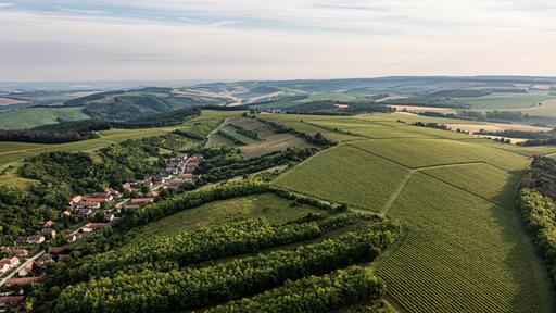 Tűzkő Estate Image