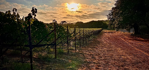 Whisper Path Cellars Image