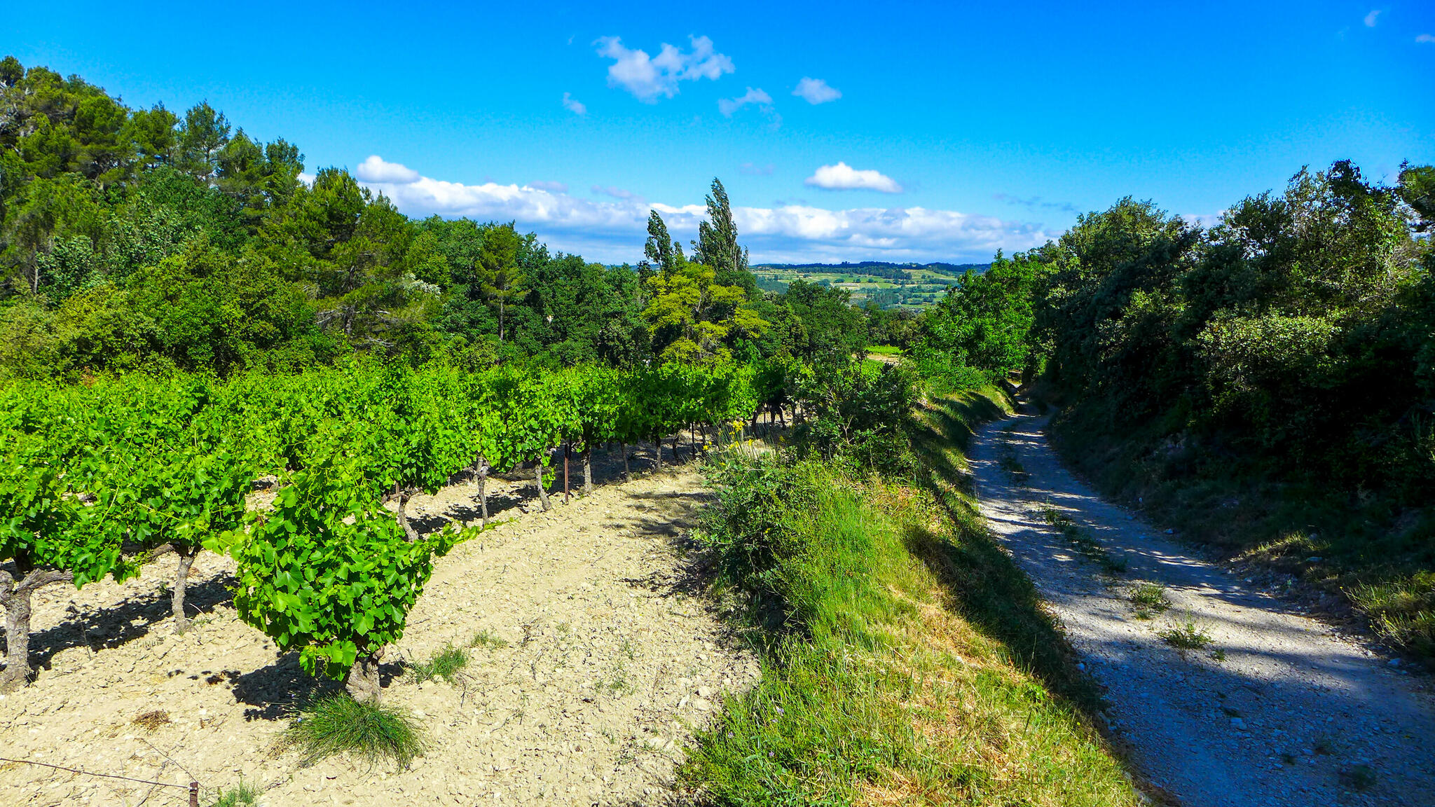 Domaine de la Chapelle Oubliee Cover Image
