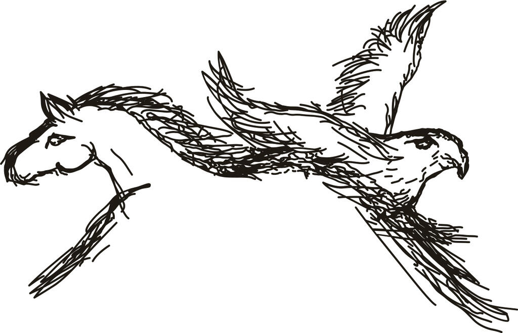 Hawk's Shadow Estate Winery Logo