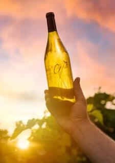Chardonnay Bottle
