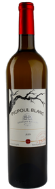 Estate Picpoul Blanc, Camledge Vineyard Bottle