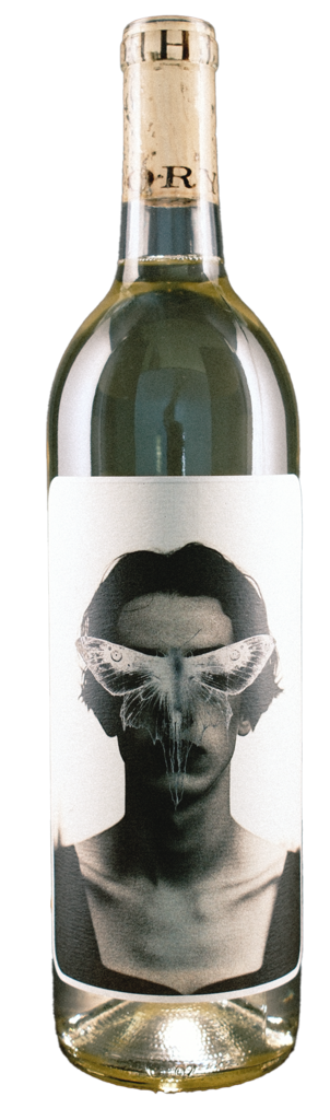 Slate Theory Winery + Vineyards Estate Trebbiano Bottle Preview