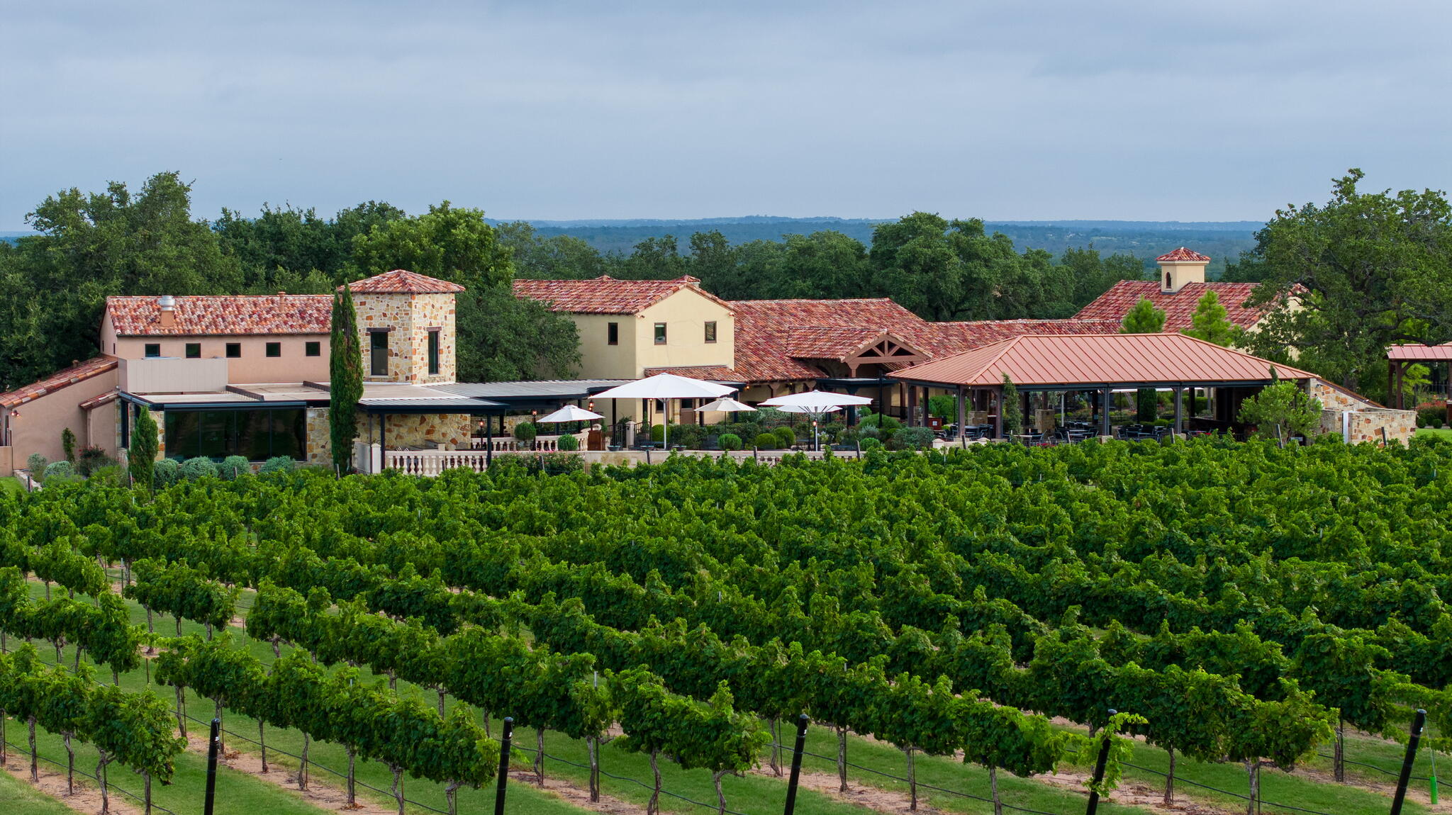 Grape Creek Vineyards Cover Image