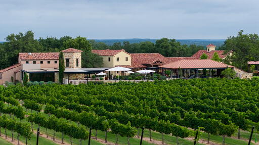 Grape Creek Vineyards Image