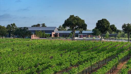 Invention Vineyards Image