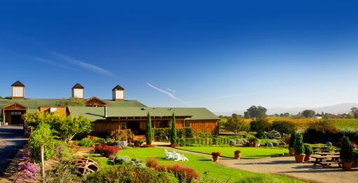 Bouchaine Vineyards Image