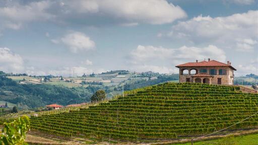 Manfredi Aldo Azienda Vinicola Image