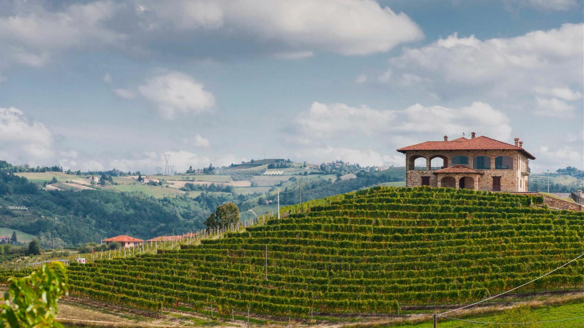 Manfredi Aldo Azienda Vinicola Cover Image