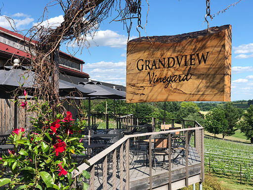 Grandview Vineyard Image