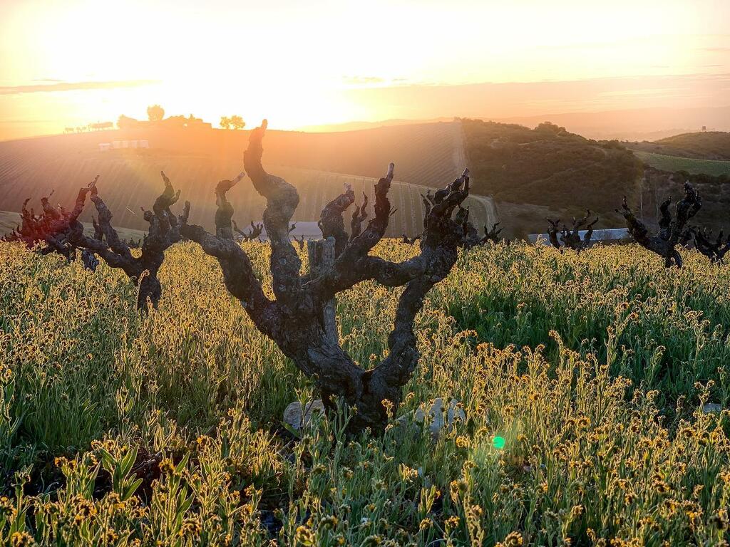 ffa843f3254a5d383df3925f37461d