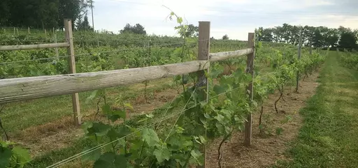 The Winery at Long Shot Farm Image