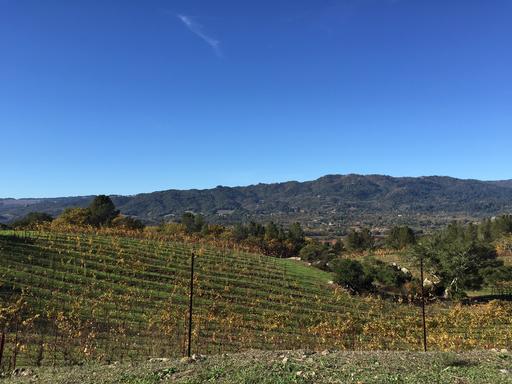 Amapola Creek Vineyards & Winery Image