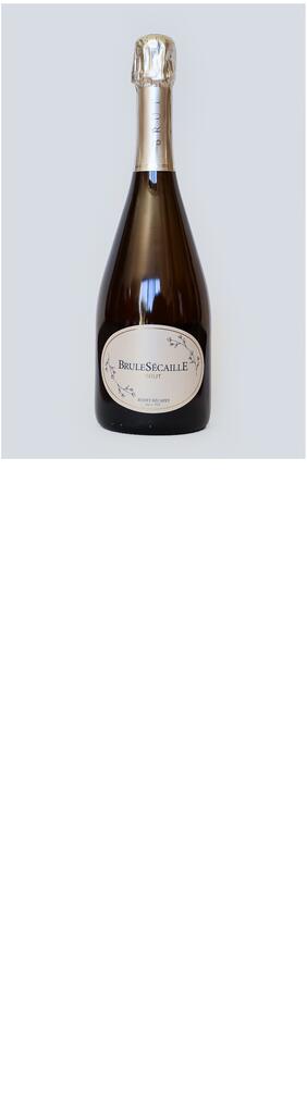 Château BrûleSécaille BruleSécaille, Brut, Blanc de blancs Bottle Preview