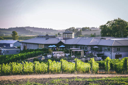 Adelsheim Vineyard Image