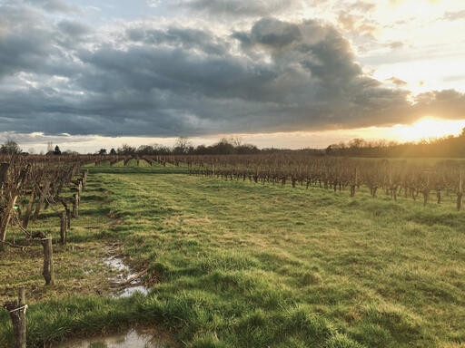 Château Florie-Aude Image