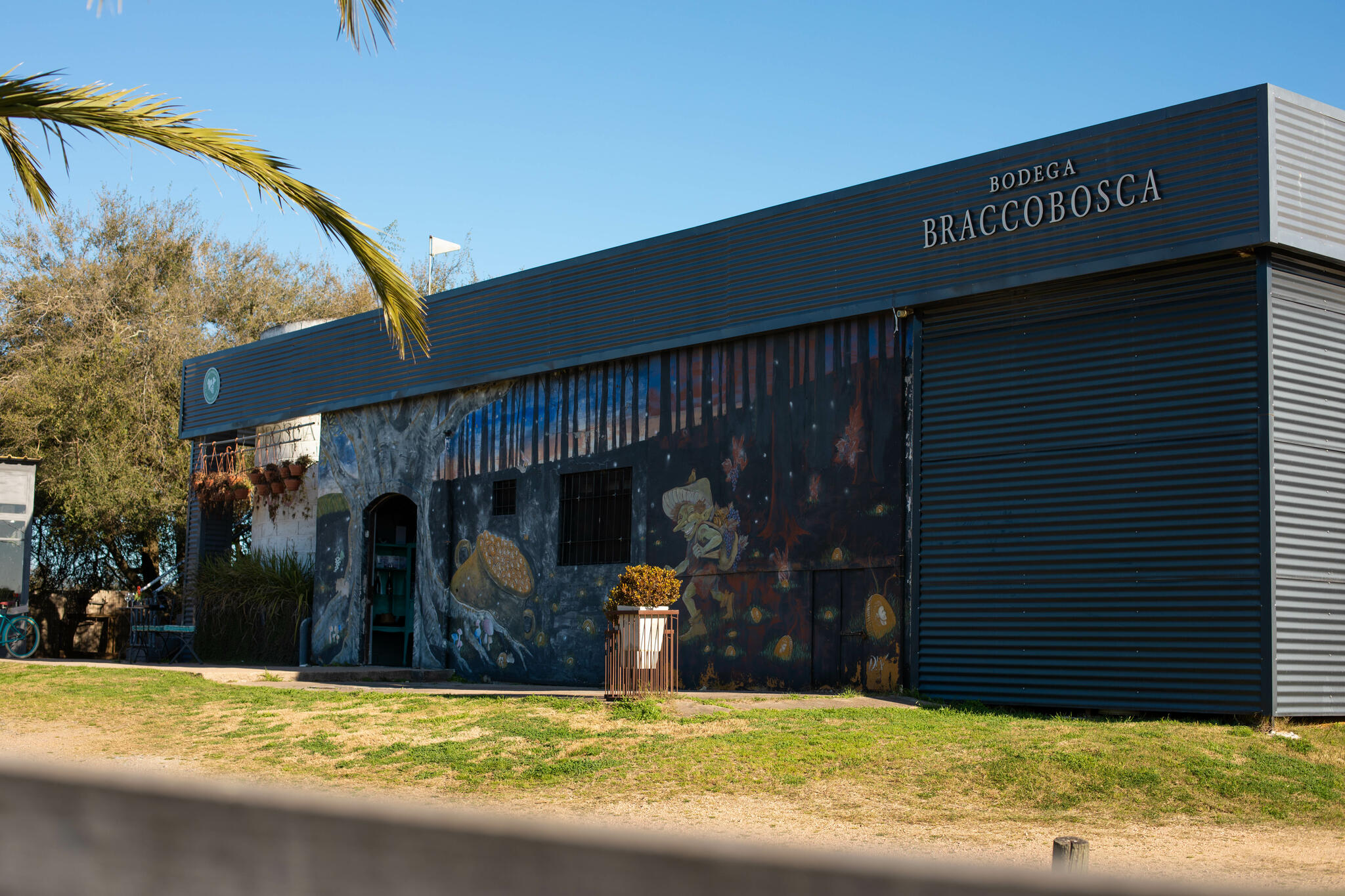 Bracco Bosca Cover Image