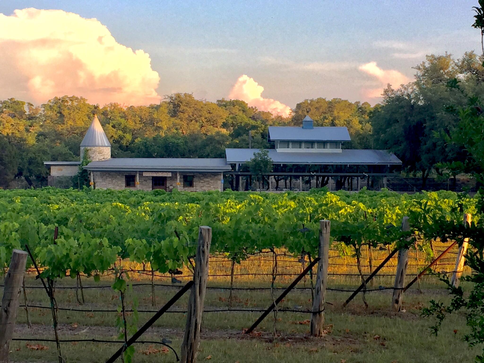 Dry Comal Creek Vineyards Cover Image