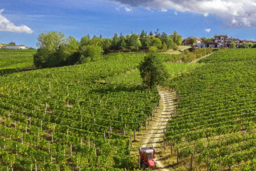 Gianni Doglia Image