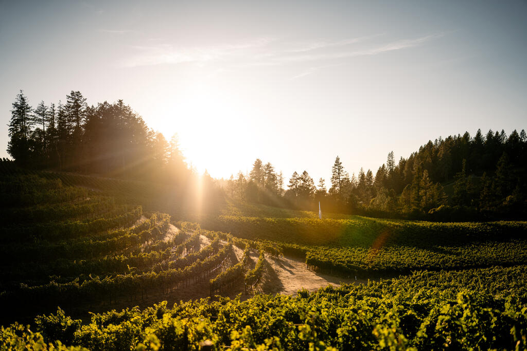 8d0e0fb600284ad752e62fa587ed98