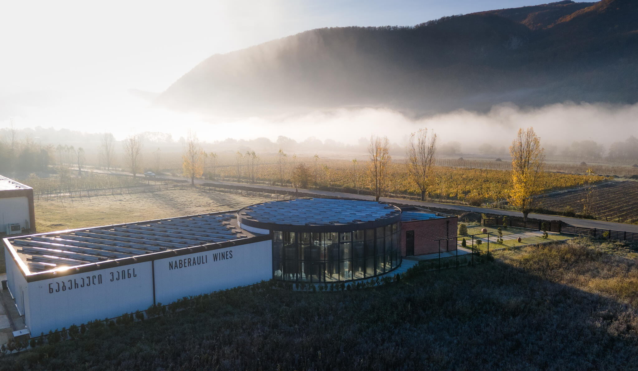 Naberauli Wines Cover Image