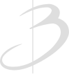 Boeri Vini Logo