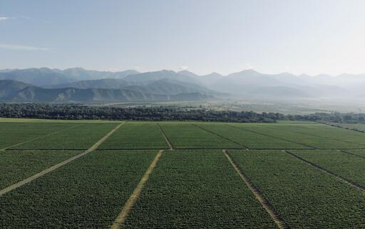 MARANI - JSC Telavi Wine Cellar Image