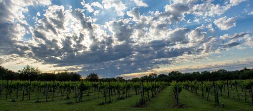 Westcave Cellars Winery & Brewery Image
