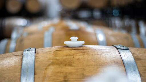 Limestone Terrace Vineyard Image