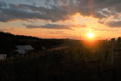 Therein Wine Image