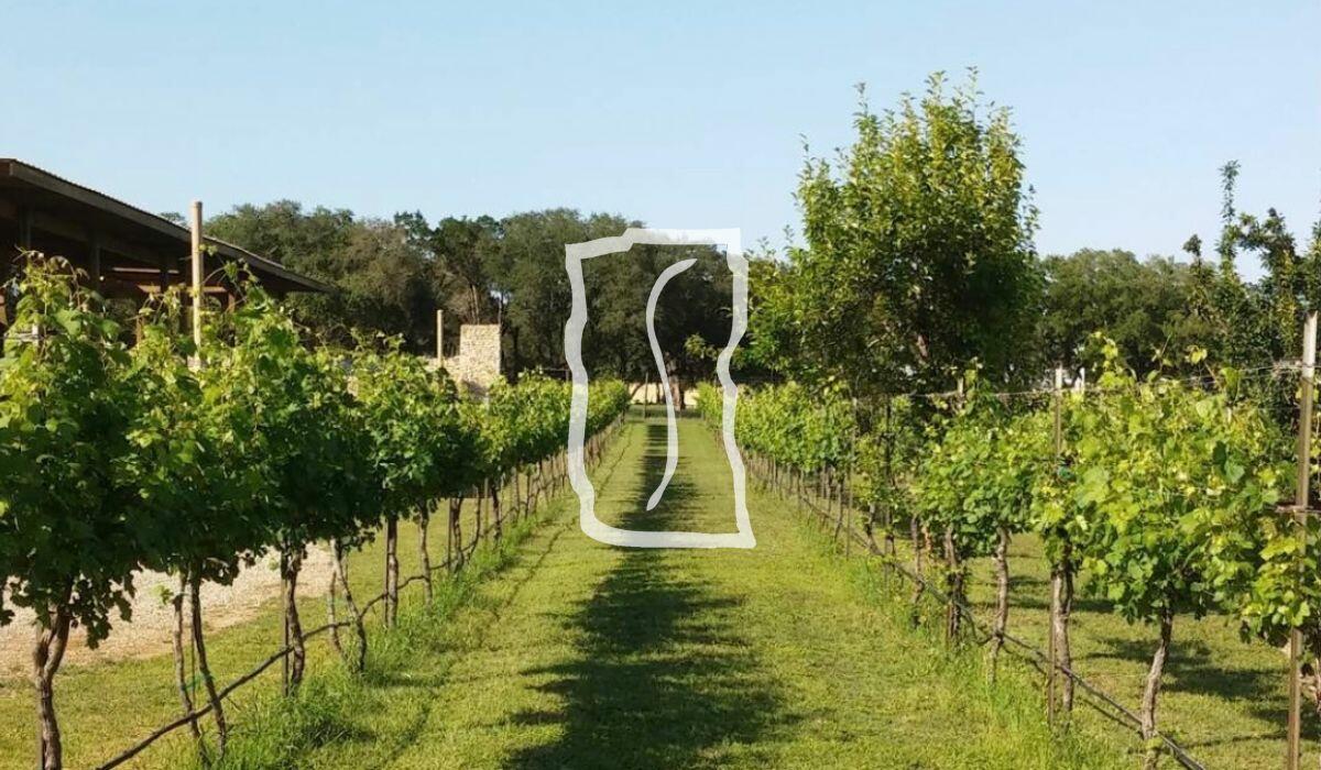 Solaro Estate Winery Cover Image