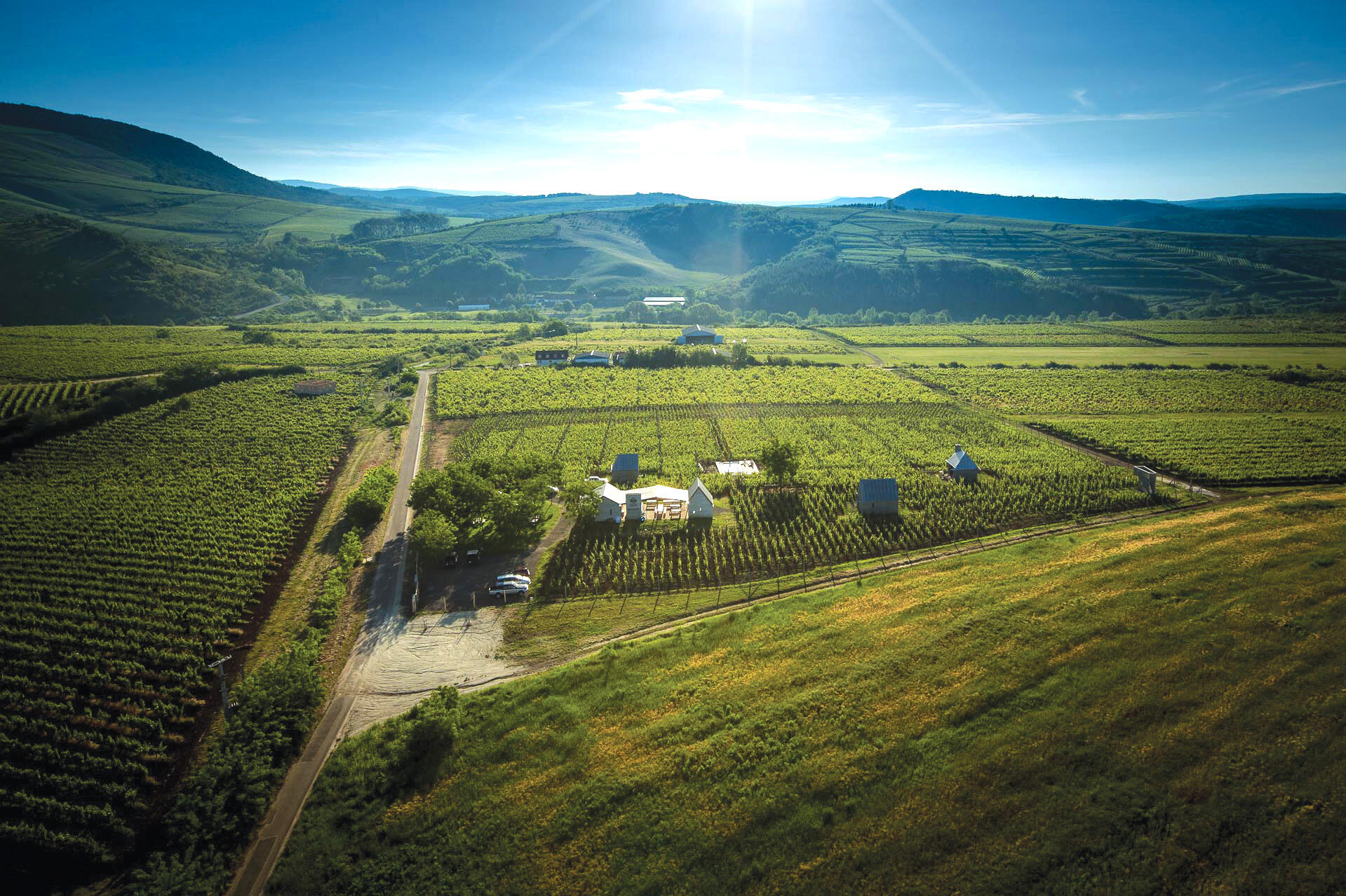 Almagyar Érseki Szőlőbirtok Cover Image