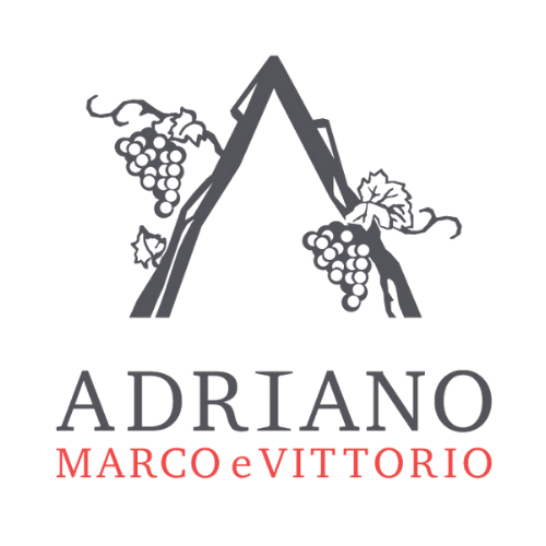 Adriano Marco e Vittorio Logo