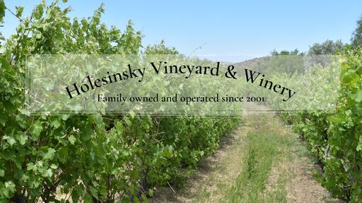 Holesinsky Winery and Vineyard Image