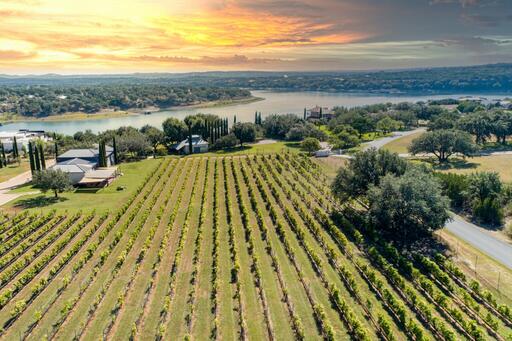 Stone House Vineyard Image