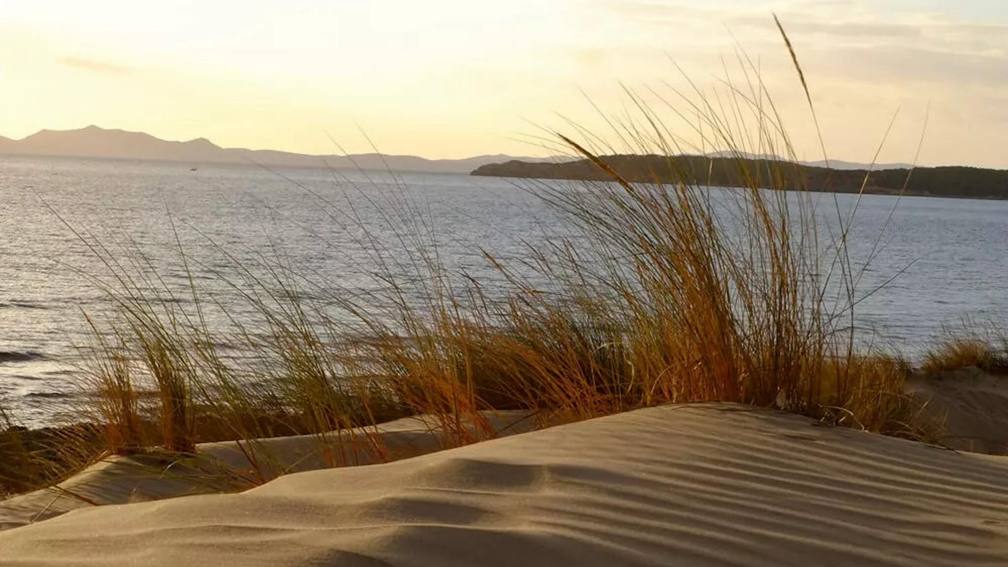 Cantina Mesa Cover Image