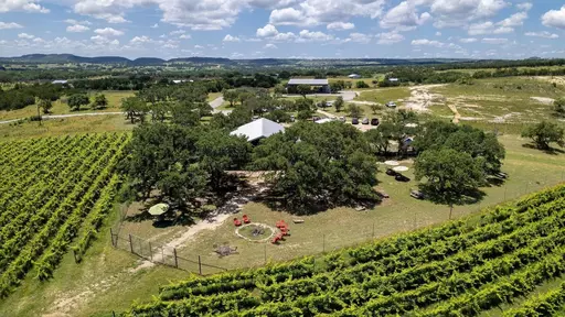 Lewis Wines Image