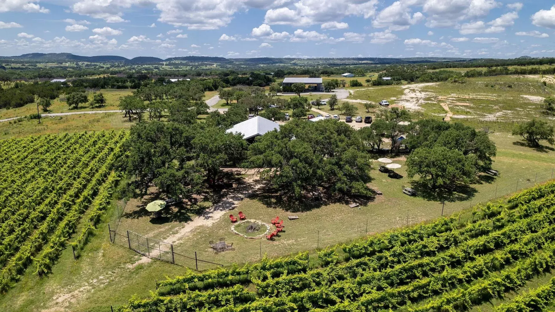 Lewis Wines Cover Image