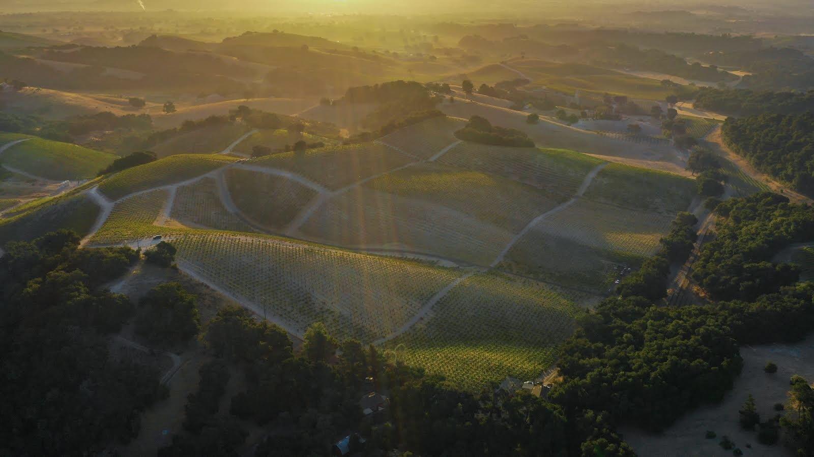 Benom Wines | Paso Robles Wineries | Wine Folly