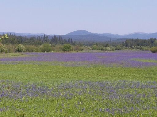 Camas Prairie Winery Image