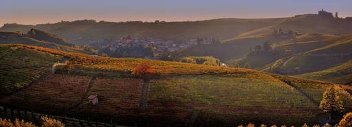 Marchesi di Barolo Image